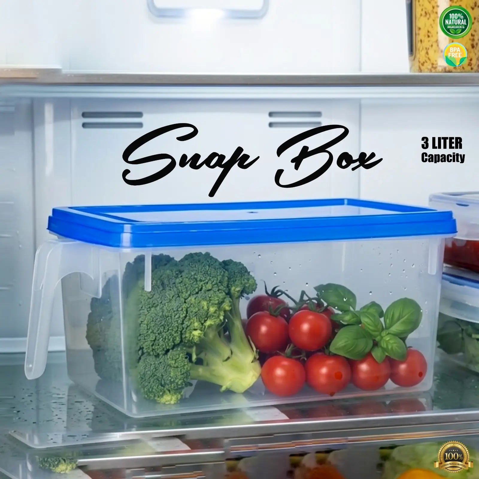 Snap Box Food Storage Container